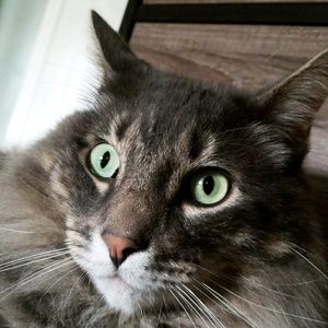 Meet your Posher, Taylor